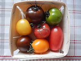 西紅柿,花園,電源
