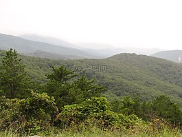 山,丘陵,樹