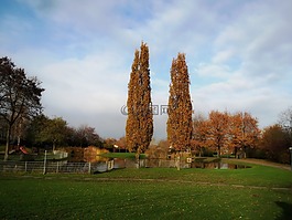 德國,公園,池