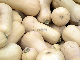 南瓜,長方形,黃色