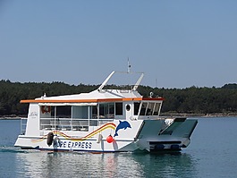 渡輪,海,地中海