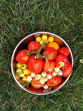 花園,蔬菜,番茄