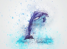 海豚,跳,動物