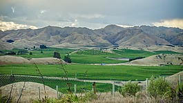 山,字段,葡萄園