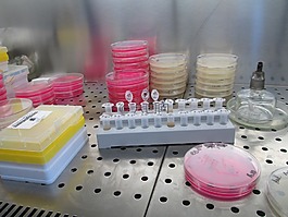 實驗室,科學(xué),研究