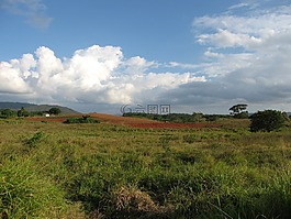 紅地球,景觀,古巴
