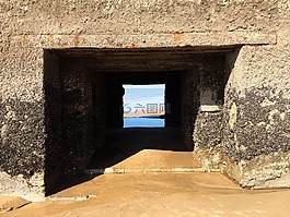 焦点,视图,海滩