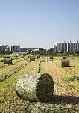 農(nóng)業(yè),大韓民國,農(nóng)場水