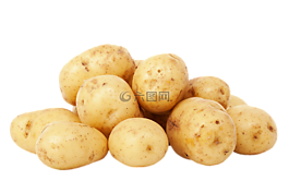 土豆,冰冻食品,碳水化合物