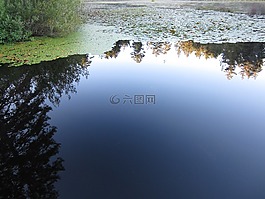 湖,百合,反思