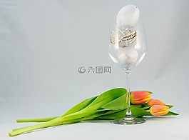 復活節(jié),性質,植物