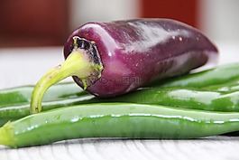辣椒,紫,香料