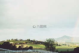 葡萄园,农场,国家