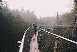 冒險,旅行,橋
