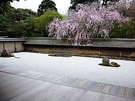 禪宗,花園,日本