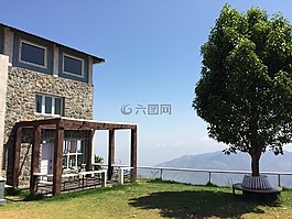 向大kanal,景观,树