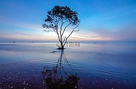風景,天性,攝影