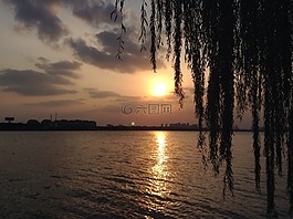 日落,樹,湖