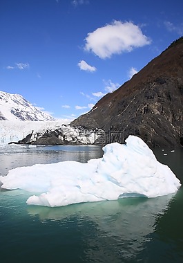 威廉王子灣,冰山,海