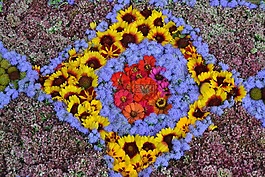 鲜花,花卉图案,模式