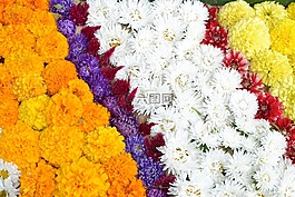 鲜花,花卉图案,模式