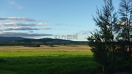 農(nóng)村,景觀,澳大利亞
