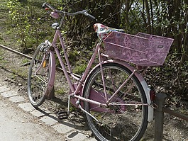 自行車,運(yùn)動(dòng),交通