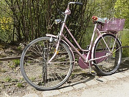 自行車,運動,交通