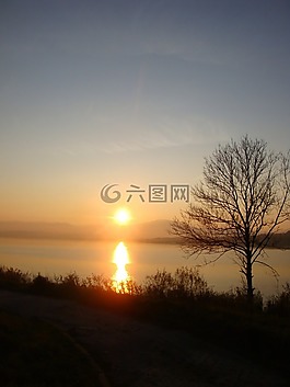 美丽的湖泊,秋,树