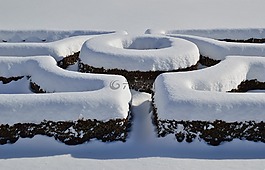 雪,设计,冬天