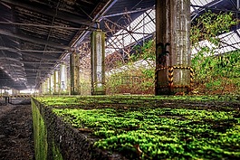 丟失的地方,火車站,平臺