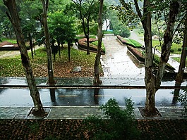 道路,雨后,清新