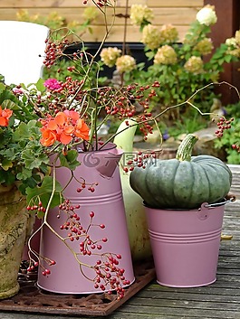 花,開花,花園