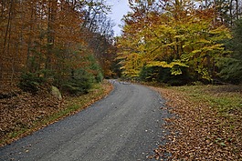 秋天,秋,農(nóng)村公路