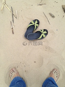 沙,海灘,腳