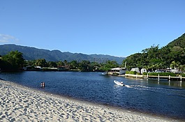 人體內(nèi)的水,性質(zhì),樹