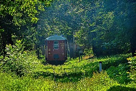 公園,車(chē)皮,綠黨