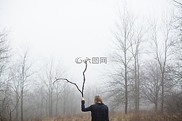 樹,枝杈,植物