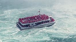 海,海洋,水