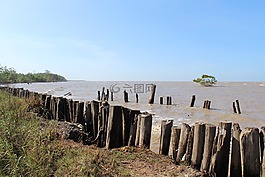 蘇里南,海,大西洋