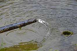 水,噴泉,水景