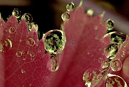 滴,一滴水,雨滴