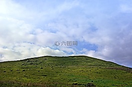 希爾,性質(zhì),草地
