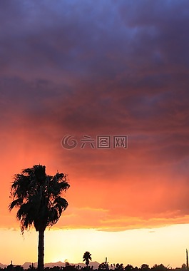 日落,黃昏,自然