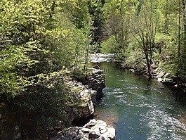 溪,自然,山