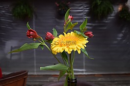 花,floreo,餐厅