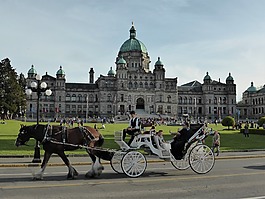 運輸,教練,馬車