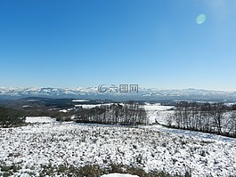 景觀,雪,冬天