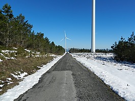 路,雪,冬天