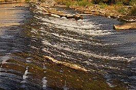 水运行,堰,河